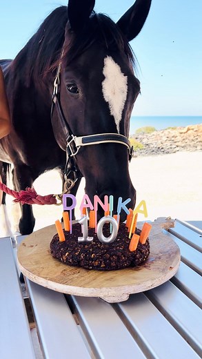 What do you need to celebrate a horse’s tenth birthday I hear you ask? Well you need a horse cake to start with ! 🎂🎈🎉🐴 Iv never made a horses cake before but since the beautiful Danika was hitting a double digit milestone I thought it would be criminal not to bake her a cake for her special day to share with her horse friends ! The process was relatively easy and it turned out dam good if I do say so myself! I had all the ingredients in the house already and it only took around 40 mins all u