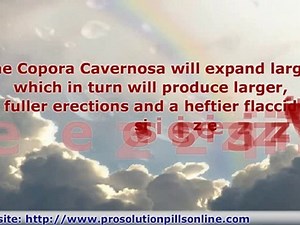 How Prosolution pills work