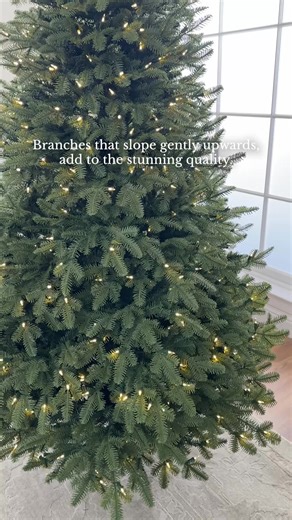 62K views · 988 reactions | It's a customer favorite for a reason. Our namesake tree captures the real-life beauty of a Balsam Fir, meticulously modeled after real trees from a farm in Maine. Shop the BH Balsam Fir: https://bit.ly/4nceryI | Balsam Hill | Facebook