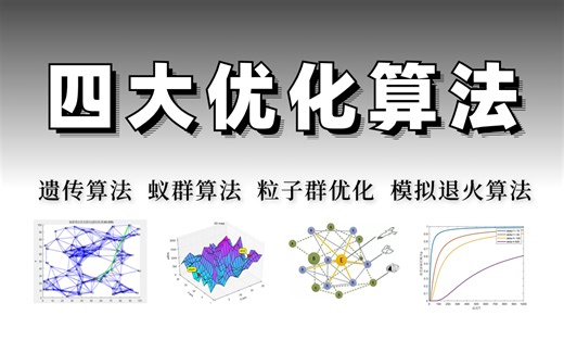 我居然只花4个小时就学懂了【优化算法】，遗传算法、蚁群算法、模拟退火算法、粒子群优化算法一次吃透！！！MATLAB/机器学习/人工智能课程