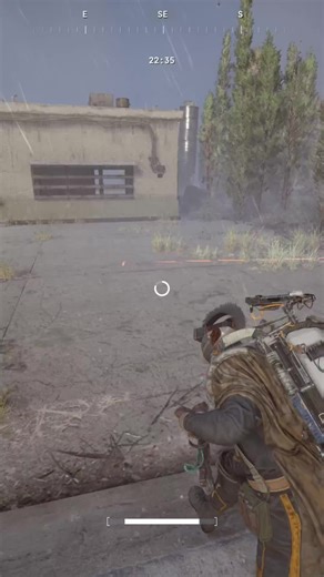 Exploring Rat Intelligence Differences