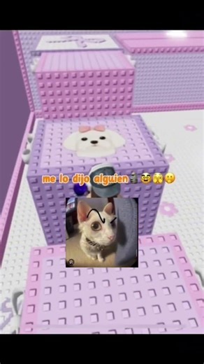 Aqui los panditas que tienen una amiga alien (porque es bajita😏)