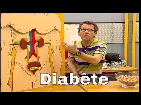 Pourquoi les diabétiques ont-ils souvent envie d'uriner ? - C'est Pas Sorcier