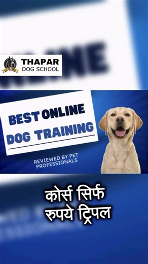 Rishi Thapar | Course Purchasing steps👇🏻 www.thapardogschool.in Choose any browser and search “www.thapardogschool.in” Click on courses, Click on buy... | Instagram