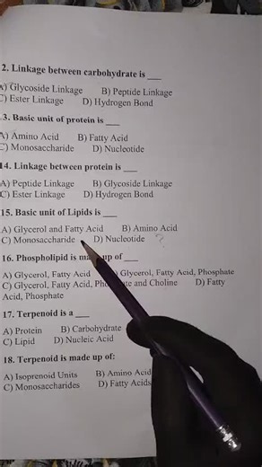 Understanding Phospholipid Composition and Function
