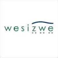 Wesizwe Platinum Ltd. | LinkedIn