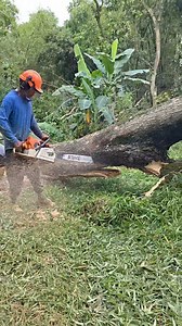 Ful power | Suprapto