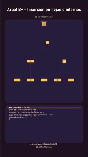 Arbol B+ - Insercion en hojas e internos #shorts