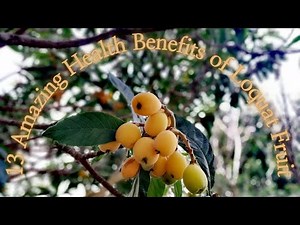 13 Amazing Health Benefits of Loquat Fruit