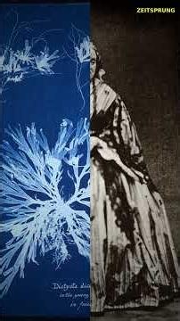 Das erste Fotobuch der Welt — ohne Kamera (Anna Atkins 1871) | Zeitsprung #Shorts
