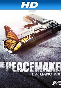 The Peacemaker - streaming tv show online
