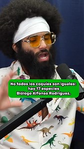 Son 17 especies de Coquí en PR las cuales 3 se creen ya extintas 😭 ¿sabías esto? @adolforodriguezoficial | El Tony