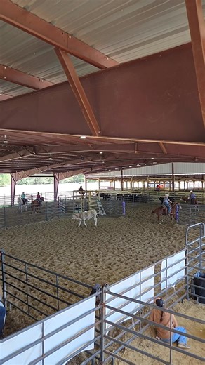 Southern Ranch Sorting on Reels