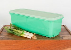 Tupperware Celery Keeper Veggie Crisper, Easy Crisp Vegetable Storage Container, Jade Green - Etsy