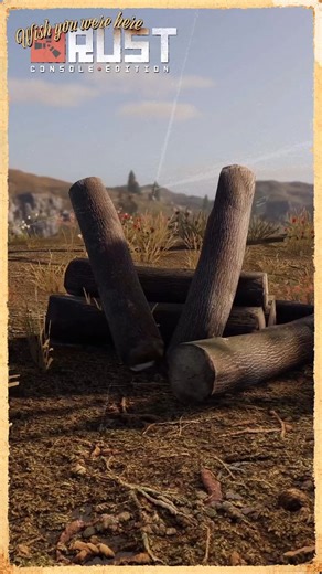 Woodpile spotted! Wait a minute...👀