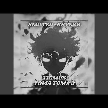 Toma Toma 3 (Brazilian Phonk) (Slowed + Reverb)
