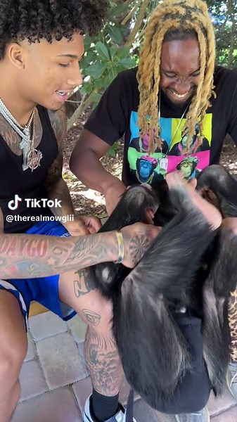 @therealmw1 and I hanging with my little brother anganda🦍💙 #therealmowglii #therealmowgliii #animals #animalsoftiktok #trending #funny #mikey #williams #mikeywilliams #tiktok