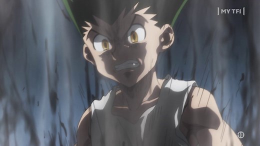 Hunter x Hunter - S06 E41 - Vengeance et soins