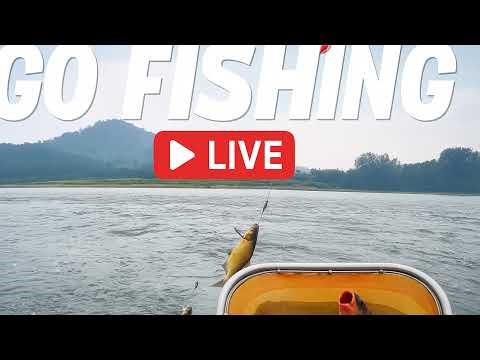🔴 LIVE Lure Fishing from an inflatable boat on a beautiful dam lake!
