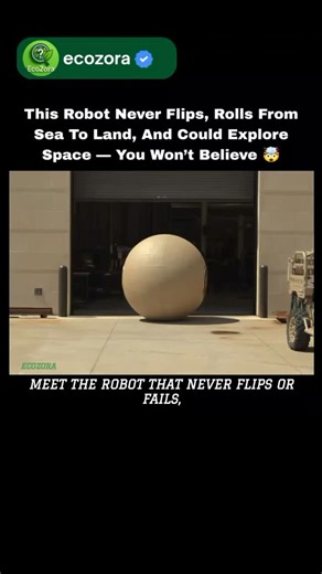 EcoZora | Science • Nature • Tech on Instagram: "🌍 RoboBall: The Limitless NASA Robot That Rolls Across Worlds 🚀🤖 Designed in 2003 at NASA by Dr. Robert Ambrose, RoboBall is a perfect spherical robot with no top, no bottom, and no limits. Revived in 2021 at Texas A&M University, this futuristic machine is now being developed by Ph.D. researchers Rishi Jangale and Derek Pravecek at the Robotics and Automation Design Lab. RoboBall II focuses on testing speed and power, while the massive RoboBal