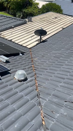 Valleys cleared from all debris ✅ Leaves accumulating in your roof valleys can cause significant damage to your home by blocking proper water drainage. When water is unable to flow off the roof, it can lead to various problems, from leaks to structural damage. | Wright Choice Gutter Cleaning