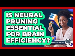 Is Neural Pruning Essential For Brain Efficiency?