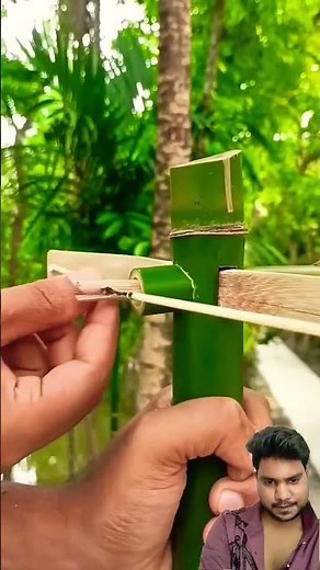Home make new slingshots using bamboo, Green bamboo Slingshots #bamboo #slingshot