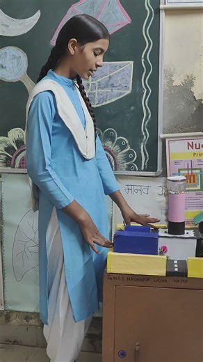 problem solving model related to pollution