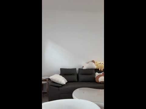 Star Time Machine Live Stream