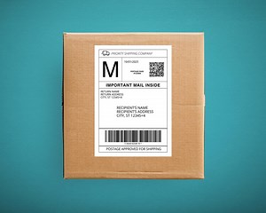 Editable Shipping Label Template, Editable Personalized Mail Label | Fake Mail Shipping Label Template for Gift Box | Gag Gift Mail Label - Etsy