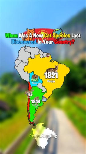 When Was A New Cat Species Last Discovered In Your Country?
