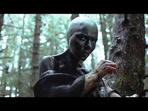 (हिंदी) Under The Skin (2013) | Movie Explained in Hindi | Summarized By ‪@HindiLimitedTv‬