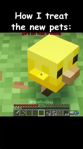 How I treat the new pets