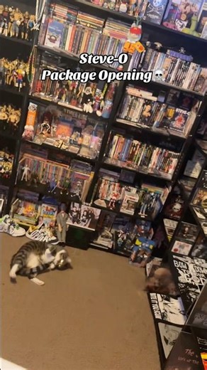 Steve-O Package Opening☠️