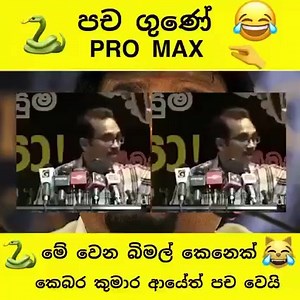 . 👇👇 | Chaminda Kumara