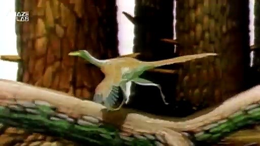 Is This The First Brain Ever To Have Evolved? Scientists Think So