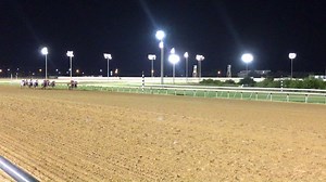 T.C. Fleck's Just Another Natural extended her win streak to three with a one-length victory in Saturday's $435,680 TQHA Sale Futurity (RG2) at Retama Park. Prepped by Leon Bard, Just Another Natural covered 350 yards in :17.614 and posted a 103 speed index under jockey Francisco Calderon. The $193,878 winner's share of the purse from the homebred Furyofthewind filly's first stakes win pushed her earnings to $213,078. Read a recap here - http://bit.ly/2hdNPla | Q-Racing