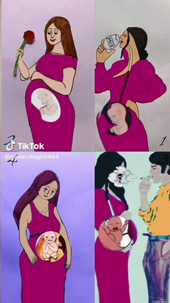 Essential Tips for a Healthy Pregnancy Journey