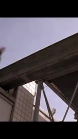 Who am I? #movie #moviemoments #cinema #jackiechan #stunt #stunts #whoami? #martialarts #fear #god