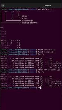 Comando chmod en Linux | Gestiona los permisos de tu Linux #shorts