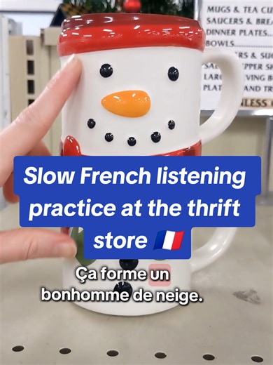 Slow French Listening Practice at the Thrift Store