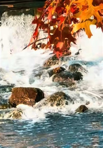 England:Nature Vibes #londonlife🇬🇧🇬🇧