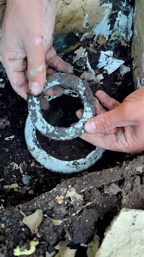 A Magnificent Hidden Treasure Cache Discovered! 😱💰 #metaldetecting #treasuresearch #viral #shorts