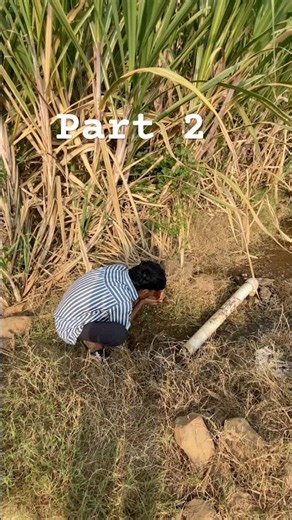 Mini wlog viral funny 🤣 #shortvideo