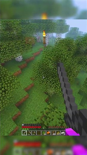 The torches are floating ?? #minecraft #minecrafthorror