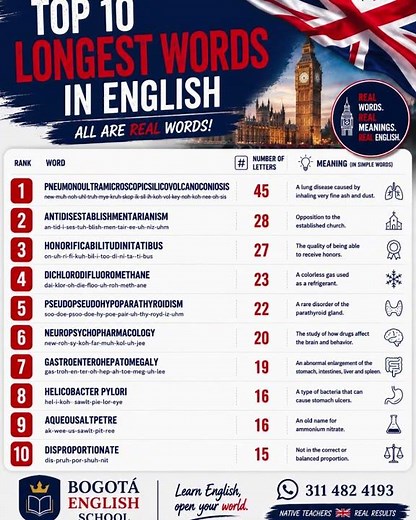 Top 10 longest words in English #learnenglish #bogota #englishclasses #ieltspreparation