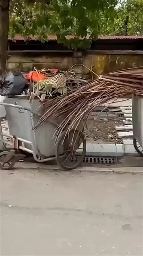 8K views · 287 reactions | Cat locked in cage and left on trash can was luckily rescued #animal #rescueanimals #animalsoftiktok #r | Paws of the Planet | Facebook