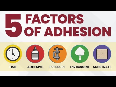 The Five Factors of Adhesion: Time, Adhesive, Pressure, Environment, Substrate (TAPES)