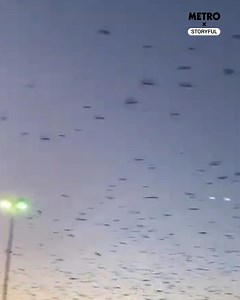 Like a scene from a horror movie 😱 | Metro