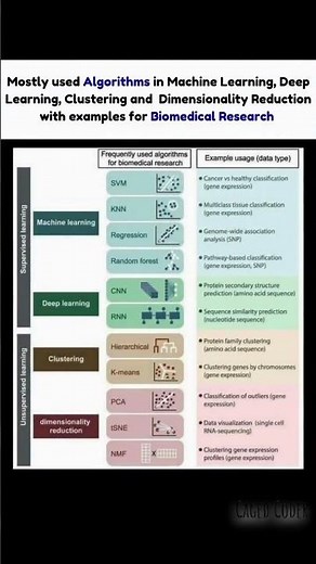 Why Traditional Algorithms are LOSING to NEW Methods in Biomedical Research